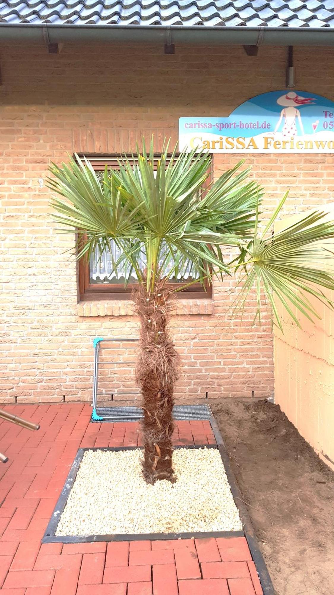 Carissa Ferienwohnung - Mit Thermeplus Bad Bevensen Exterior foto